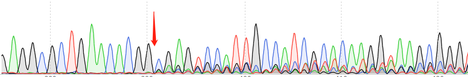 NIH/3T3-CAS9 cell line Product Validation Data（RT-QPCR）